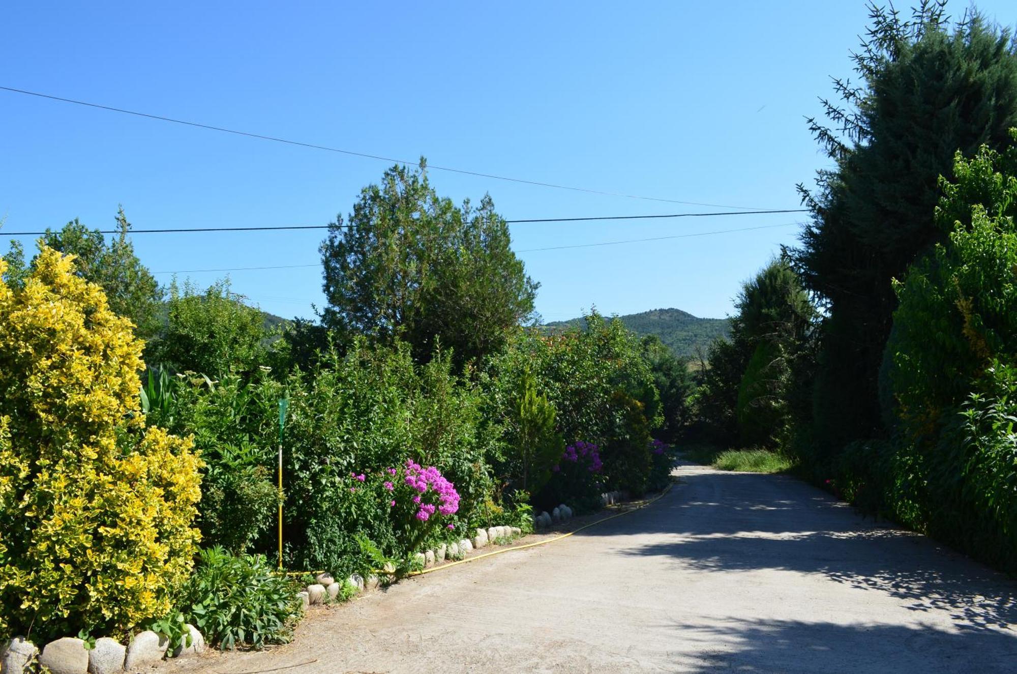 Casa Rural La Vall Del Cadi La Seu d'Urgell Luaran gambar